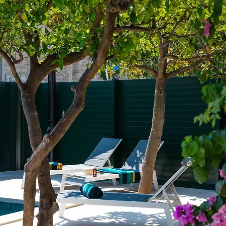 Bracholet * 苏佩塔尔